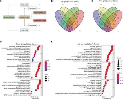 Recurrence- and Malignant Progression-Associated Biomarkers in Low-Grade Gliomas and Their Roles in Immunotherapy